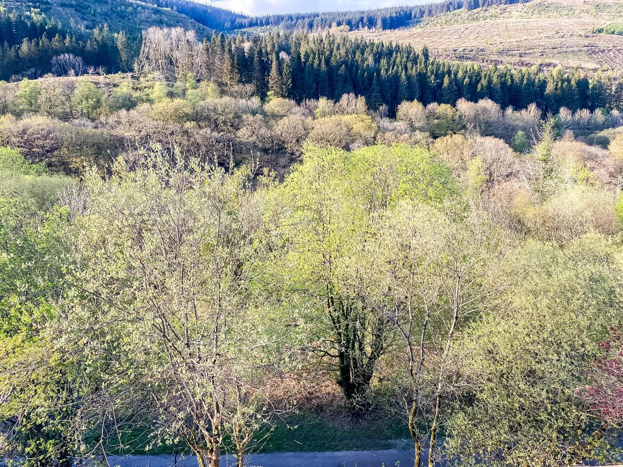 The Nest Superb Apartment In Afan Forest Bike Park By Staystaycations Port Talbot Exterior foto